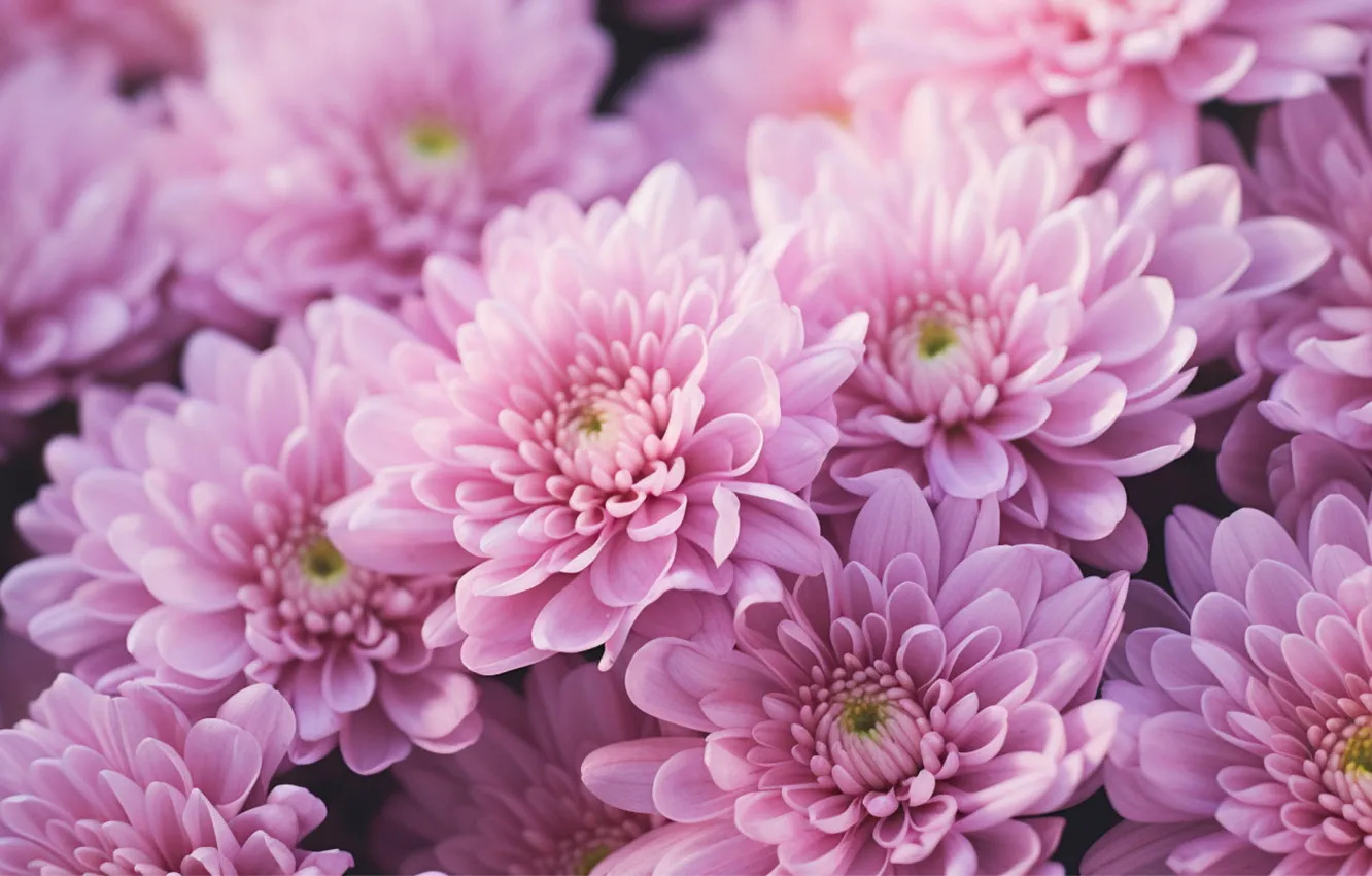 Милые дамы! «Трастинтек» поздравляет вас с самым нежным праздником весны – 8 Марта!